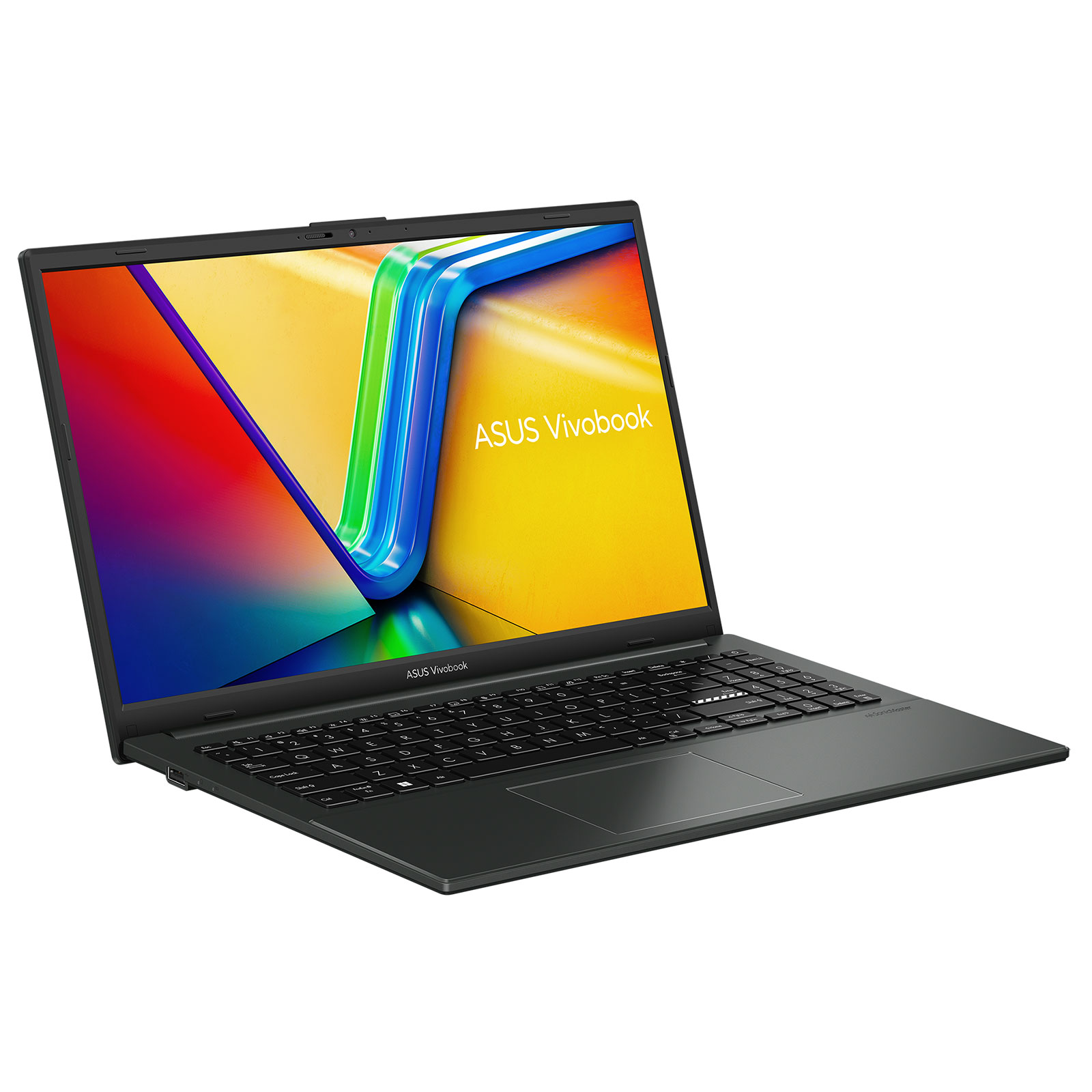 Ordinateur ASUS P1504FA-BQ2443X