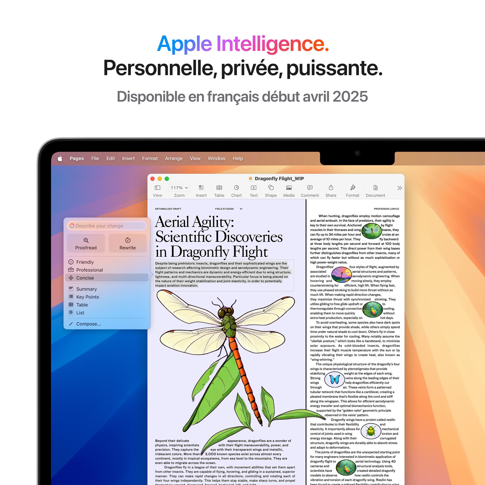 Ordinateur Apple MacBook Air M4 13 pouces (2025) Argent 16Go/256 Go (MW0W3FN/A)