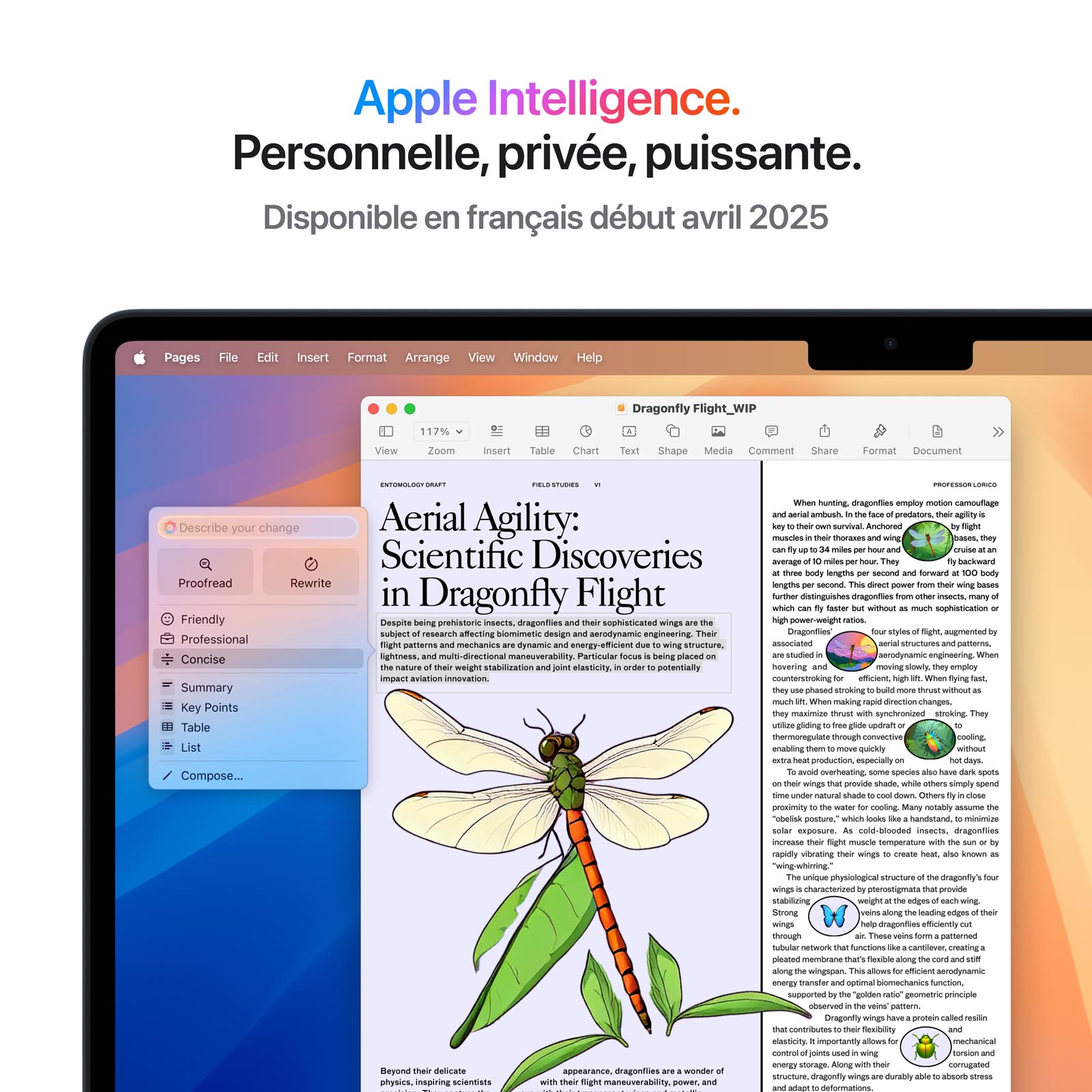 Ordinateur Apple MacBook Air M4 15 pouces (2025) Minuit 16Go/256 Go (MW1L3FN/A)
