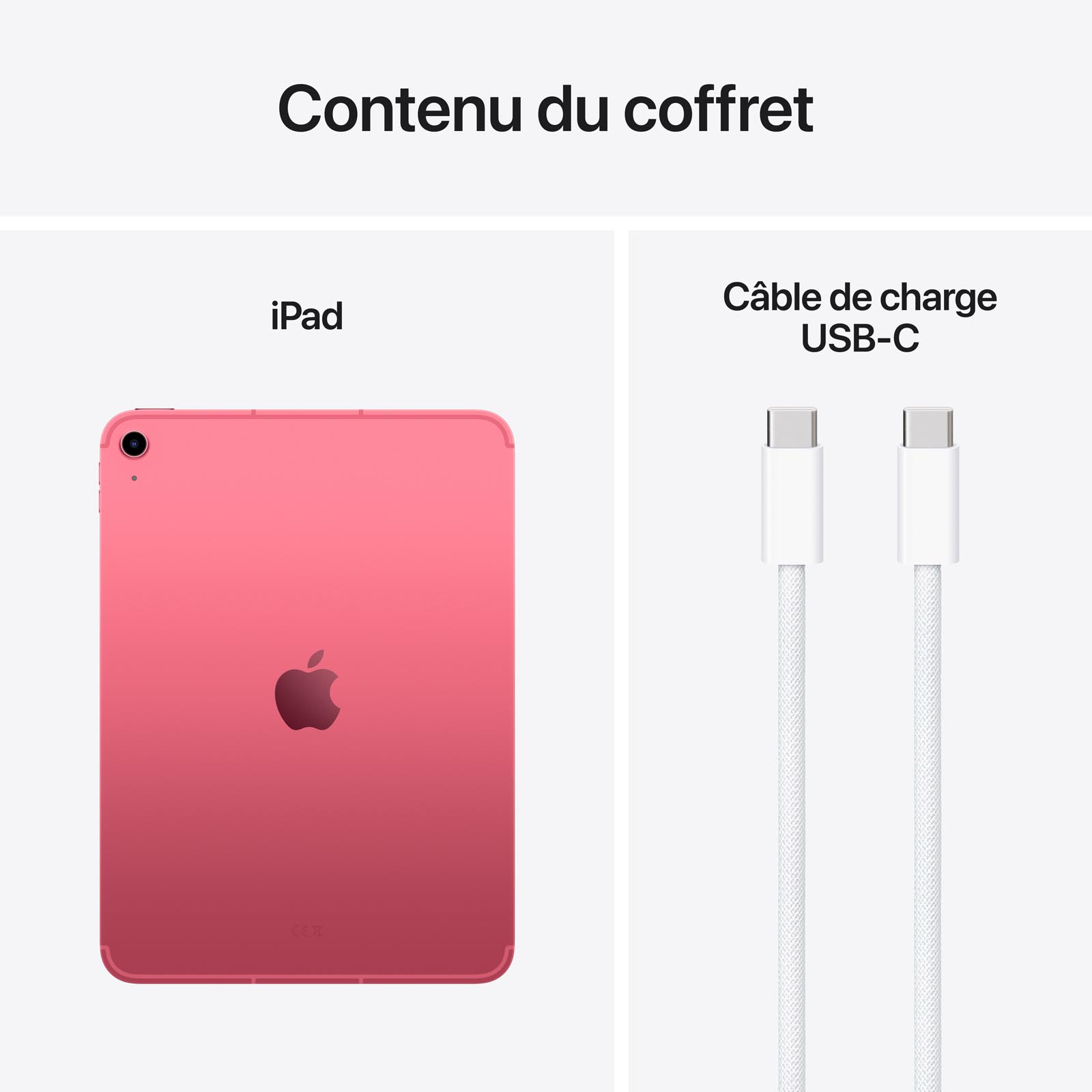 Tablette Apple iPad (2025) 256 Go Wi-Fi + Cellular Rose