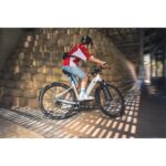 ROCKRIDER Vélo tout chemin électrique cadre bas, e-actv 100 gris perle